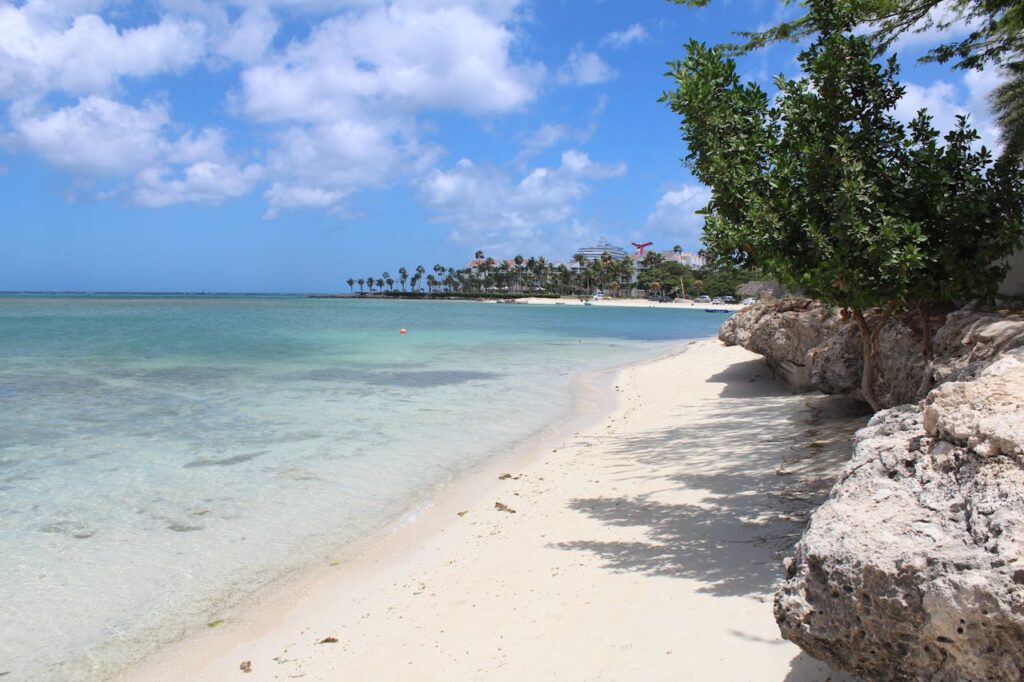 Green Trees Near the Seashore